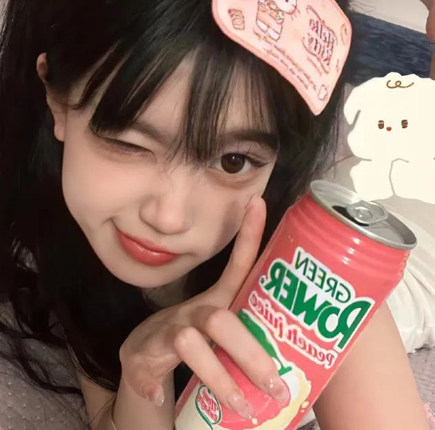 红翼行动