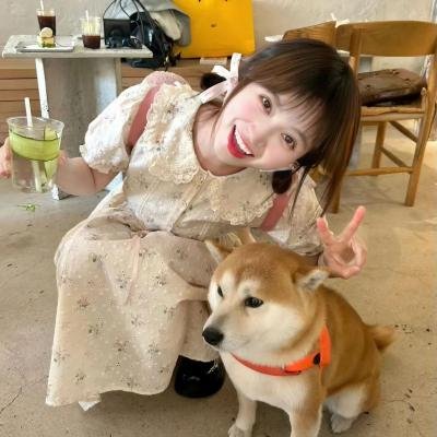 屈从